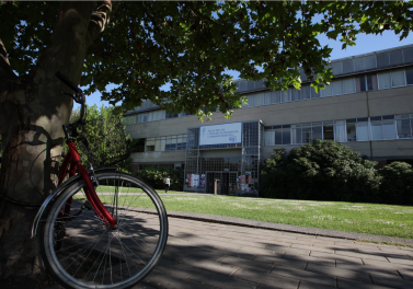 Profesores de la Facultad se adjudican concurso Anillo de Investigación de Conicyt